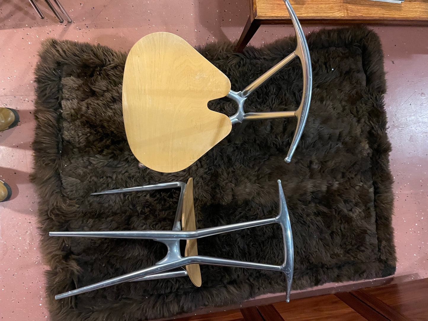 Carlo Bartoli studio chairs
