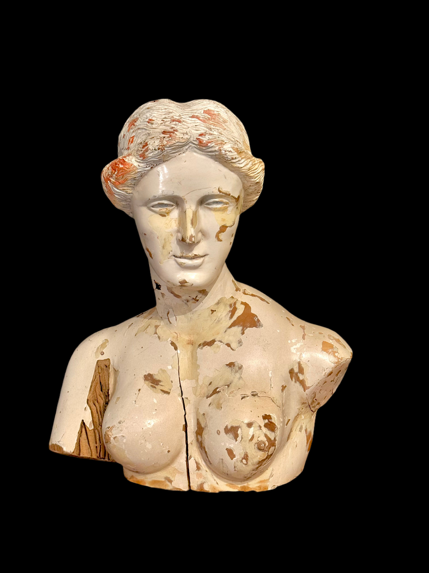 Venus de Milo bust