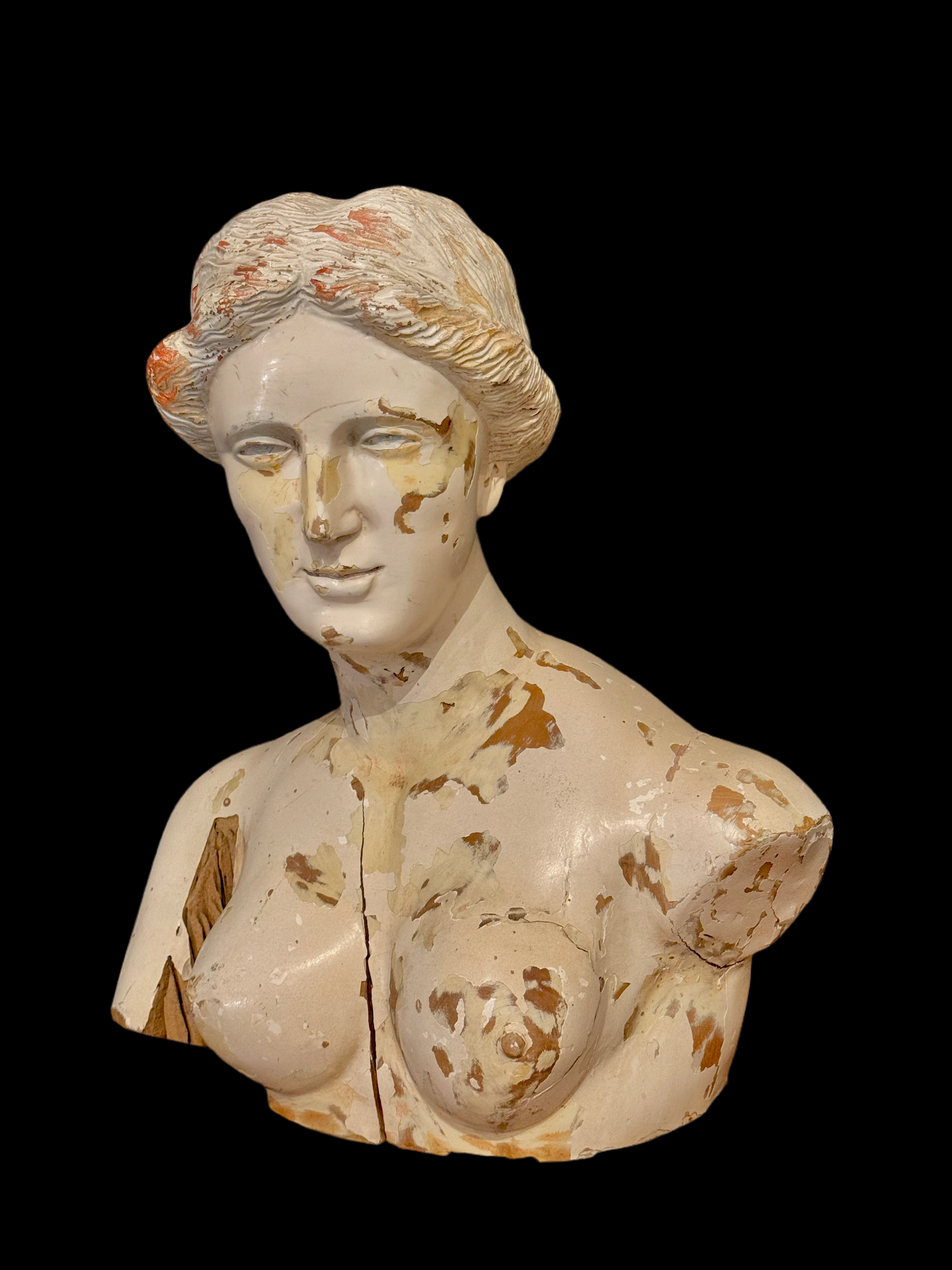 Venus de Milo bust