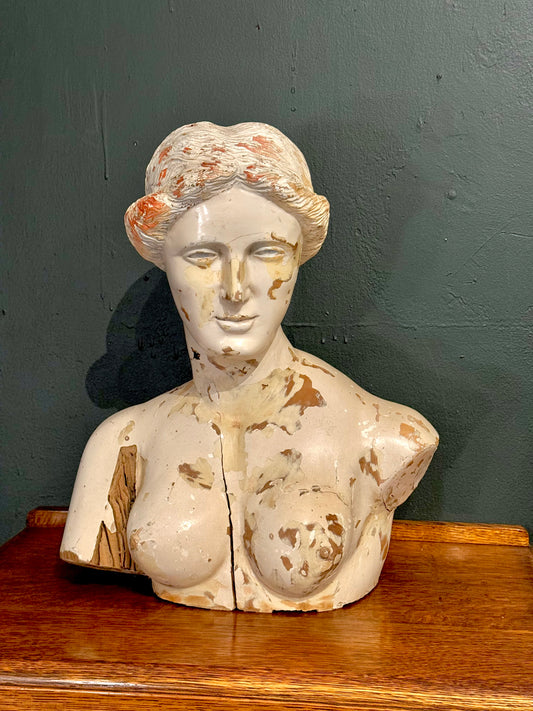 Venus de Milo bust